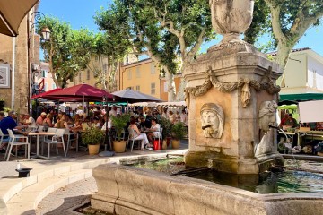 Draguignan, Lorgues: rosé, truffles, lavender