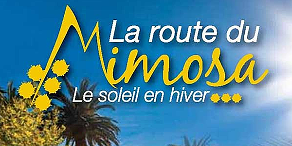 Mimosa Festival & Route: A Fragrant Golden Journey Through Southern France